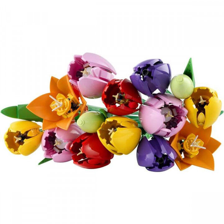 Set di Costruzioni Lego 11501