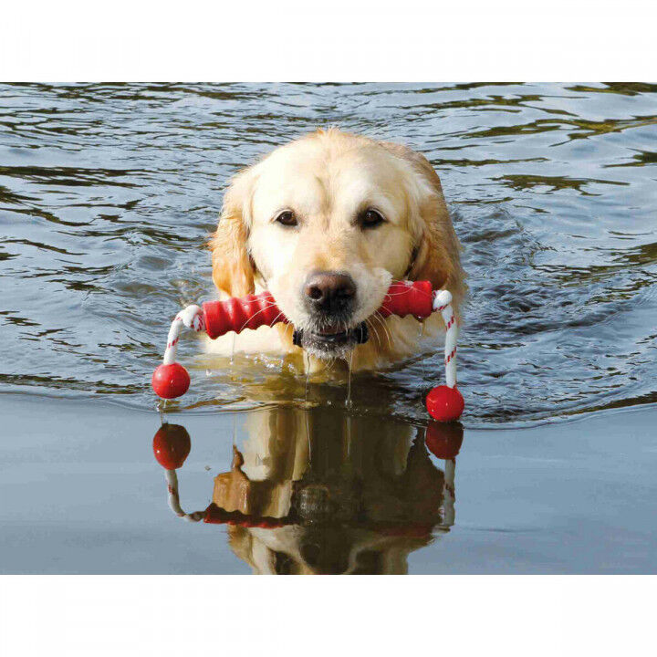 Kauwspeelgoed voor honden Trixie 42 cm