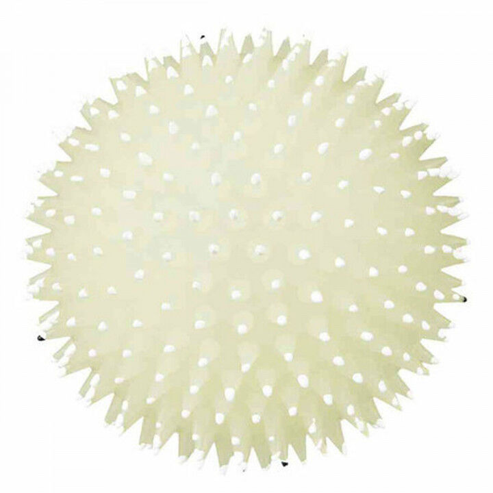 Hundespielzeug Trixie Ball