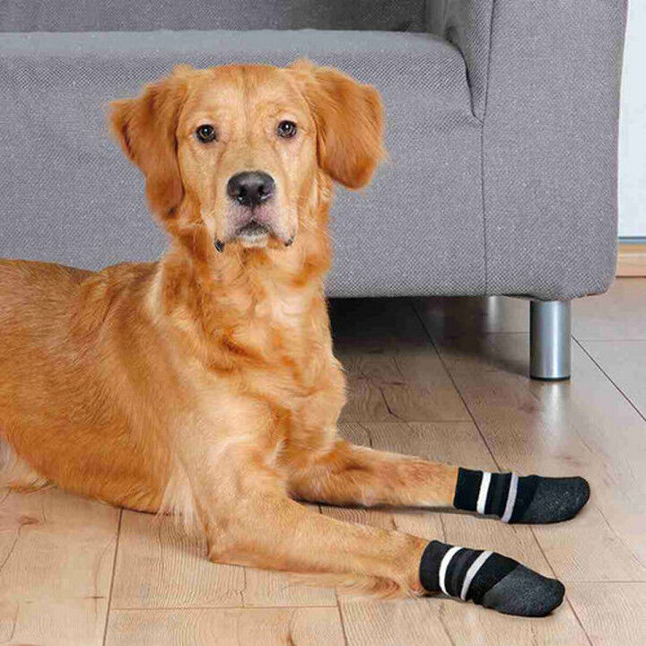 Chaussettes Trixie Noir XL Chien