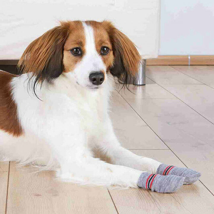Socken Trixie Grau L Hund