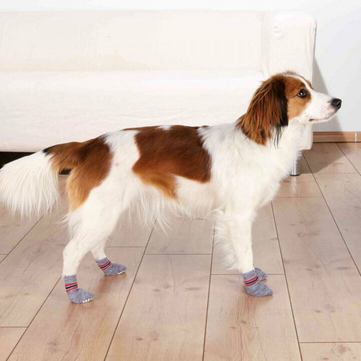 Chaussettes Trixie Gris L Chien