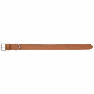Collier pour Chien Trixie Heartbeat Marron L 47-55 cm