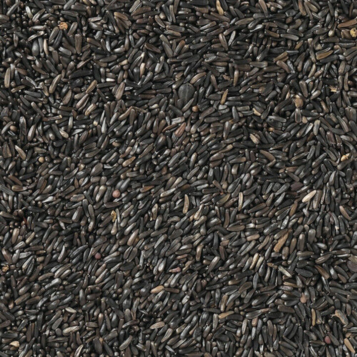 Comida para pájaros Deli Nature Premium 1 kg