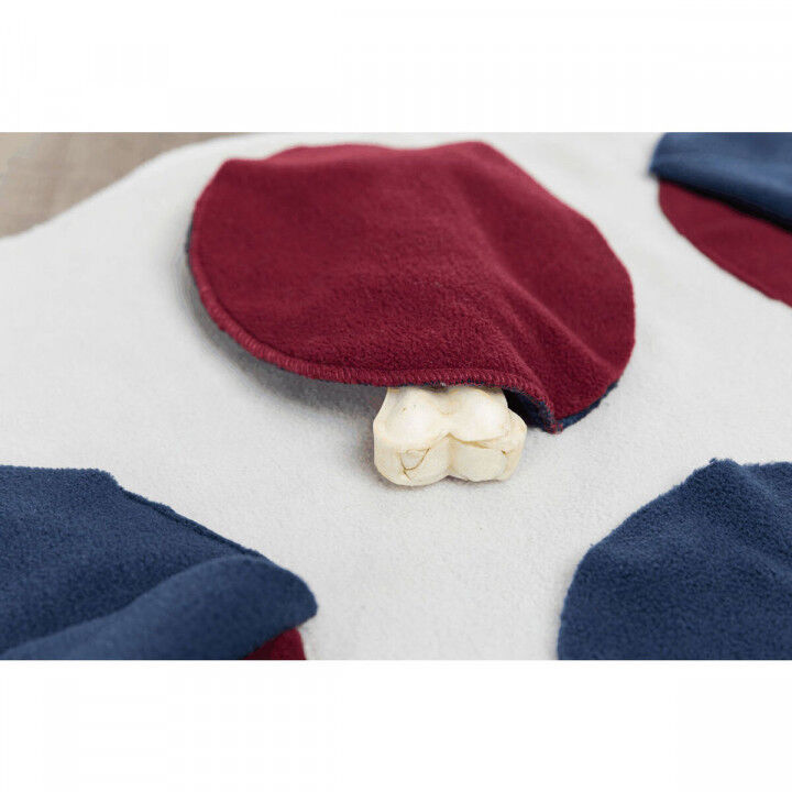 Huisdierendeken Trixie Polyester 70 × 70 cm