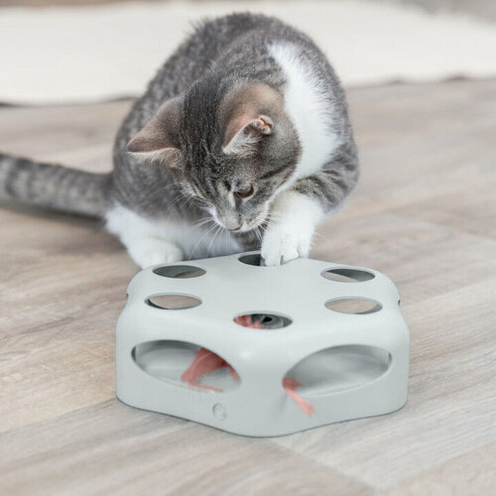 Kattenspeeltje Trixie Grijs Plastic Ø 22 cm