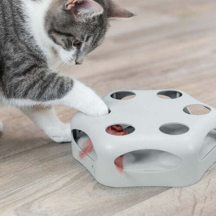 Kattenspeeltje Trixie Grijs Plastic Ø 22 cm