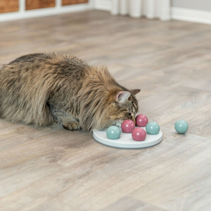 Speelmat en beloningen voor huisdieren Trixie