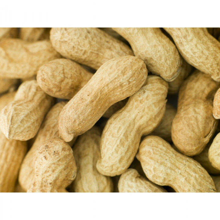 Vogelfutter Deli Nature Premium 1,6 kg