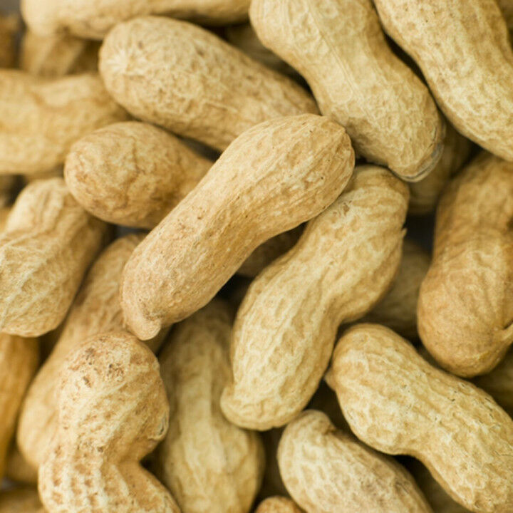 Bird food Deli Nature Premium 1,6 kg