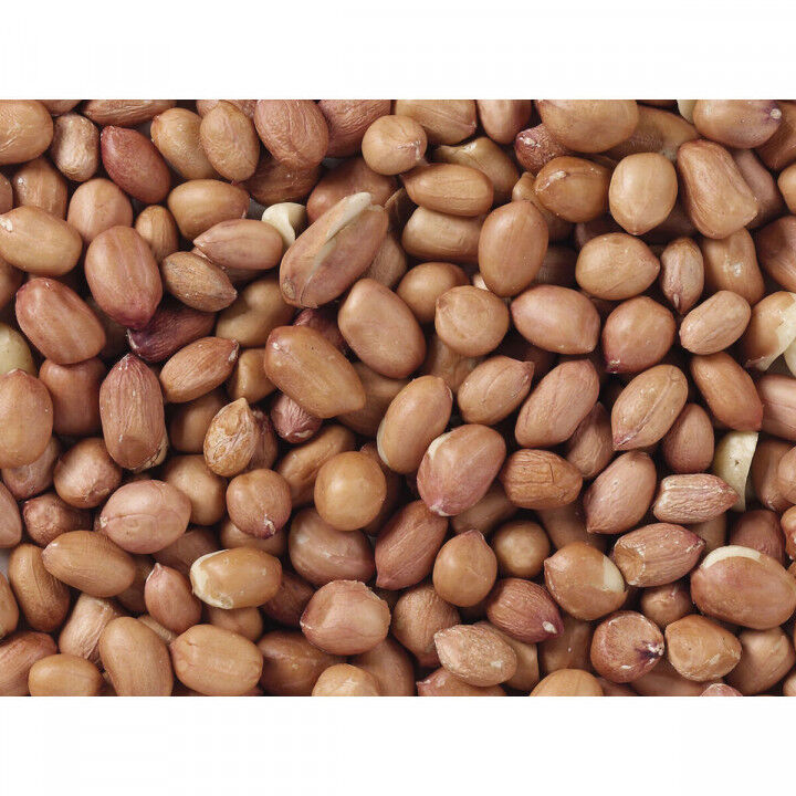 Vogelfutter Deli Nature Premium 3 Kg