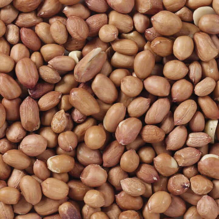 Vogelvoer Deli Nature Premium 3 Kg