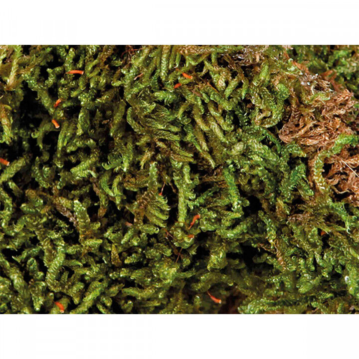 Substrate Trixie 200 g Moss