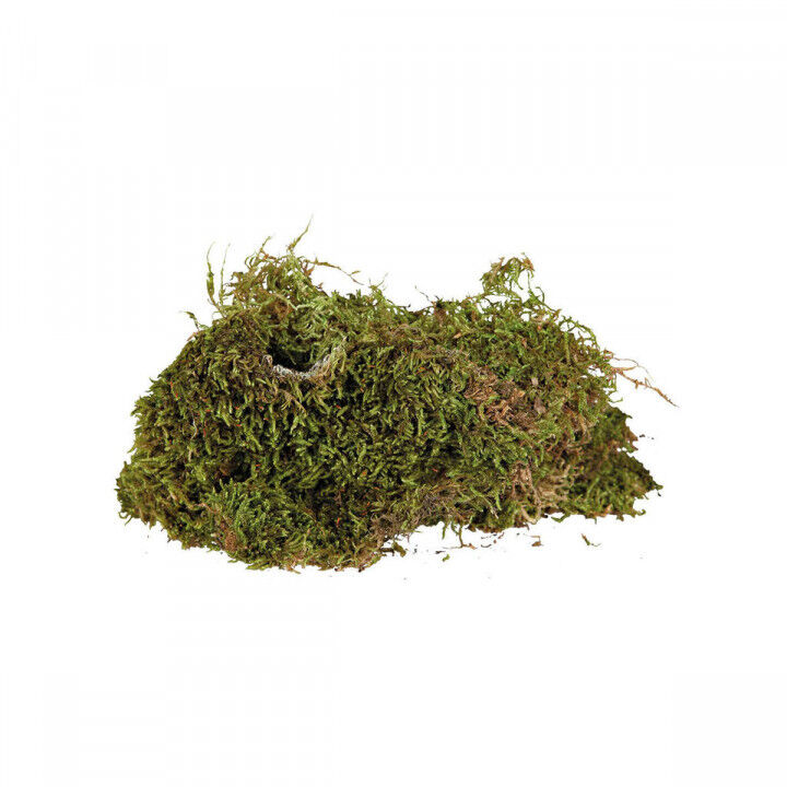 Substraat Trixie 200 g Mos