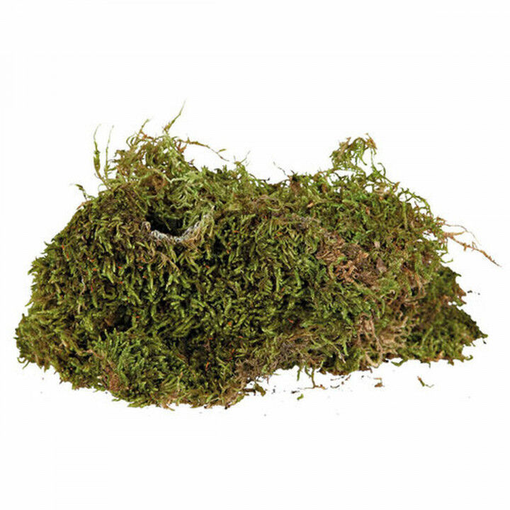 Substrate Trixie 200 g Moss