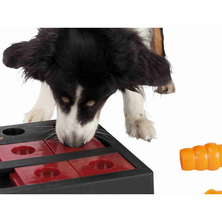 Dog toy Trixie Chess