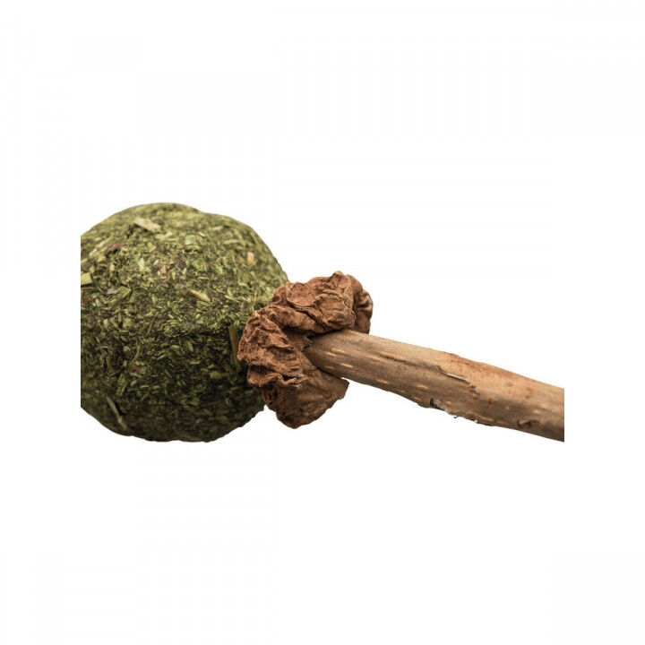 Snack für Katze Trixie Catnip/Matatabi