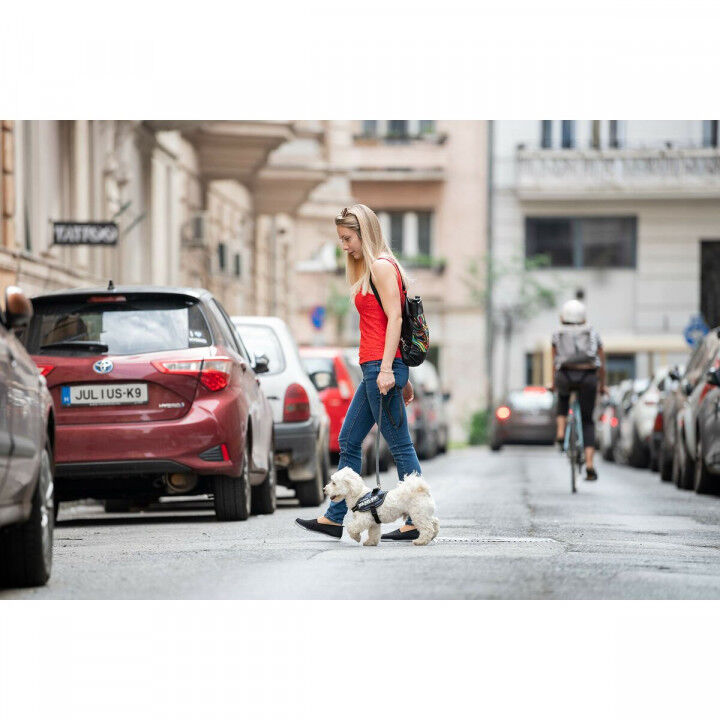 Hondentuigje Julius K9 IDC Cowboy 2 Baby 2 (XS/S)