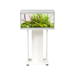 Acquario Akvastabil FAMILY