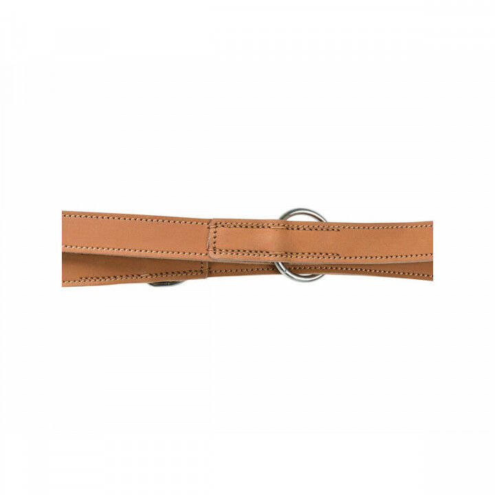 Laisse réglable pour chien Trixie Heartbeat Marron L/XL 2 m