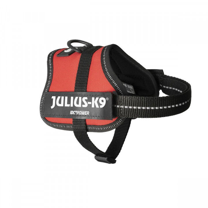 Hundegeschirr Julius K9 Power Rot 2 Baby 2 (XS/S)