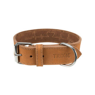 Collar para Perro Trixie Marrón 38-47 cm