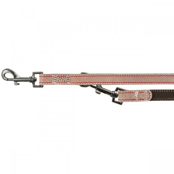 Laisse pour Chien Trixie Marron S/M 2 m