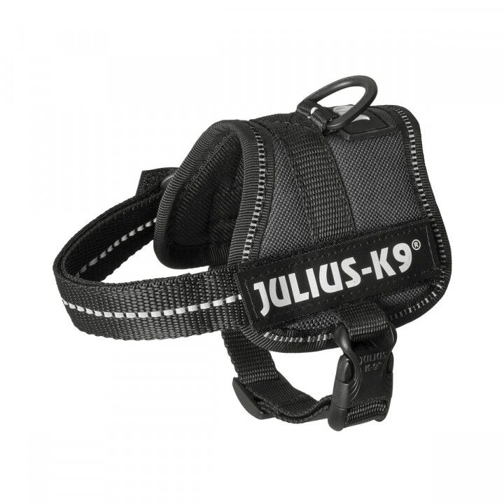 Hundegeschirr Julius K9 Power Schwarz 1 Baby 1 (XS)