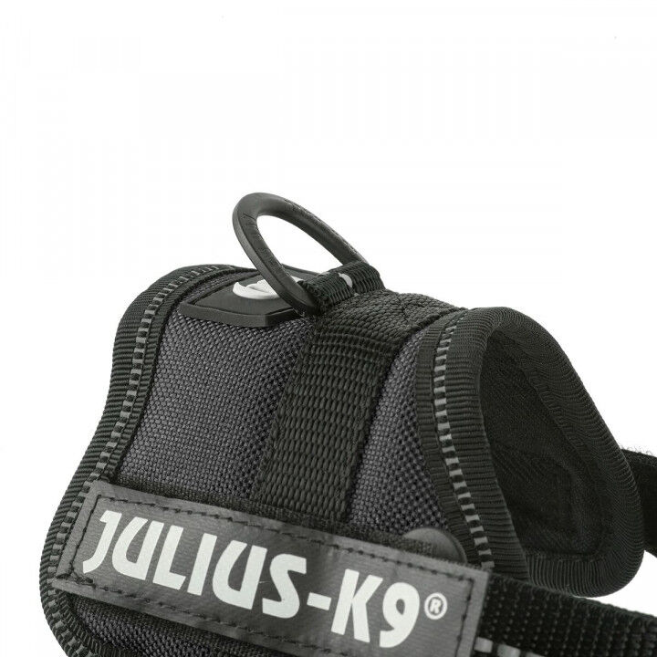Harnais pour Chien Julius K9 Power Noir 1 Baby 1 (XS)