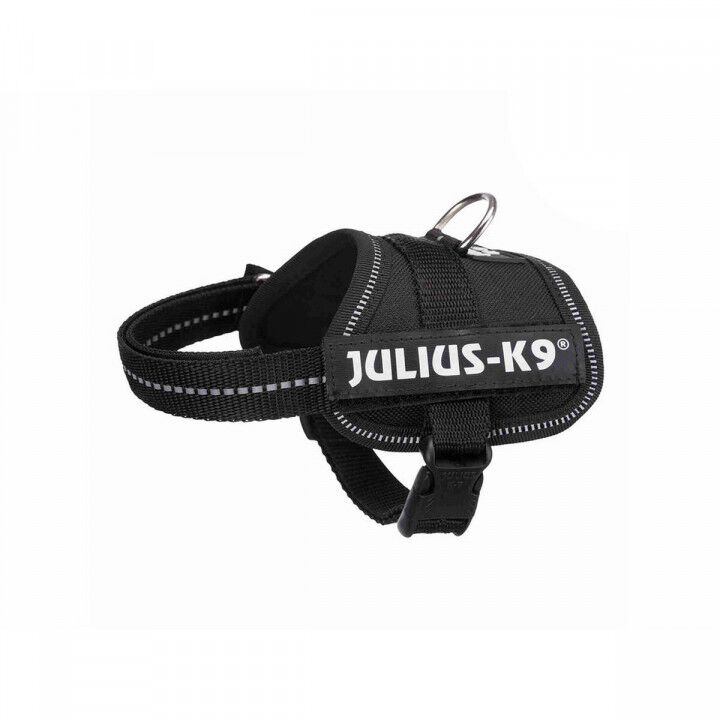 Harnais pour Chien Julius K9 Power Noir 1 Baby 1 (XS)
