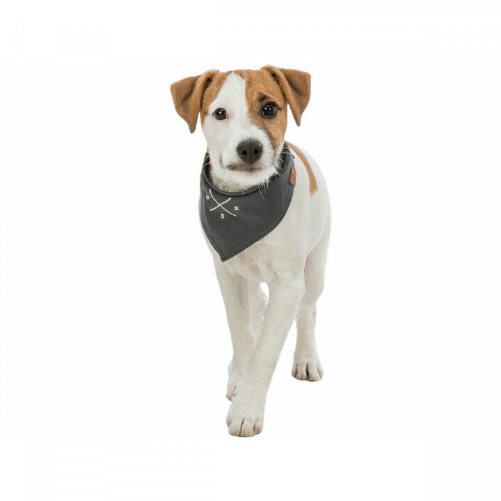 Doek Trixie Hond