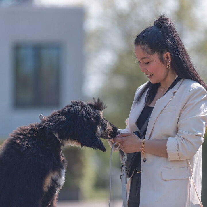 Hondenhalsband Trixie CityStyle Zwart L 45-52 cm 42-52 cm