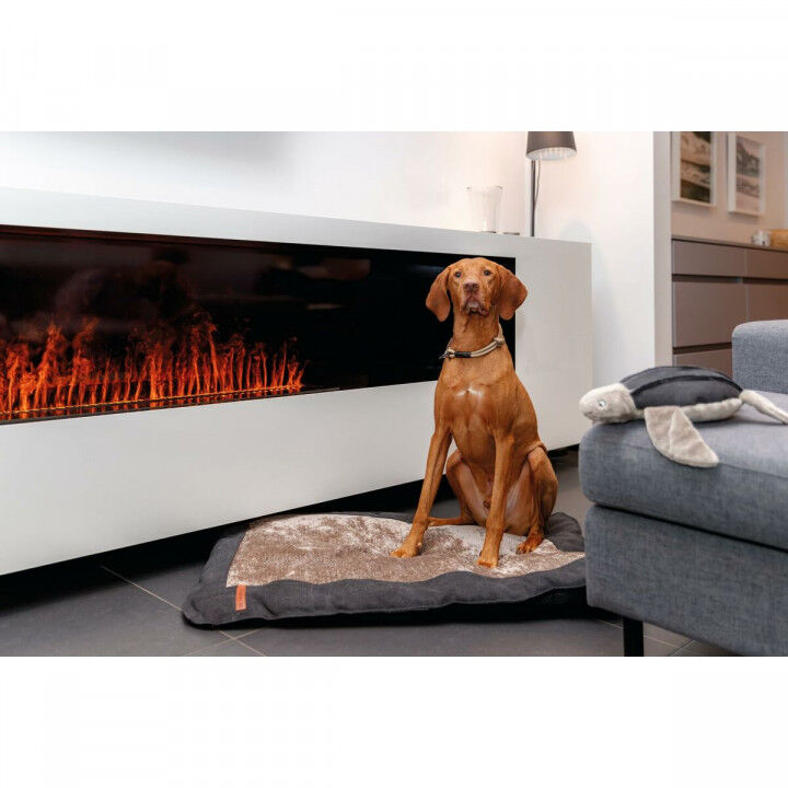 Collari da addestramento per cani Trixie Be Nordic Nero Sabbia S/M 40 cm