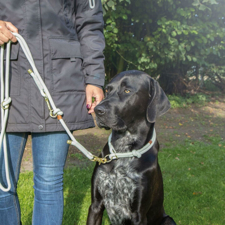 Trainingshalsbanden voor honden Trixie Soft Rope Groen Munt L 50 cm