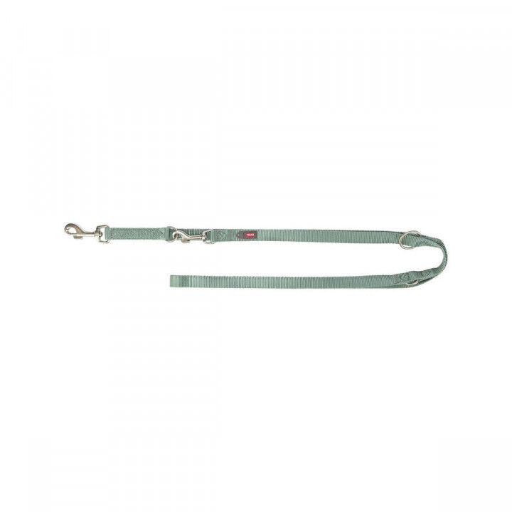 Adjustable dog leash Trixie Premium Green XS/S