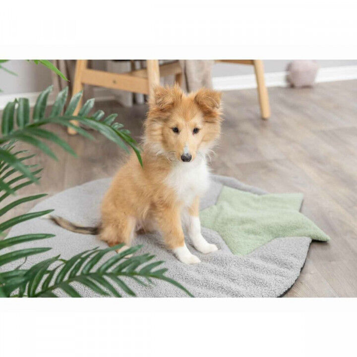 Matras Trixie Grijs Munt 86 X 80 CM