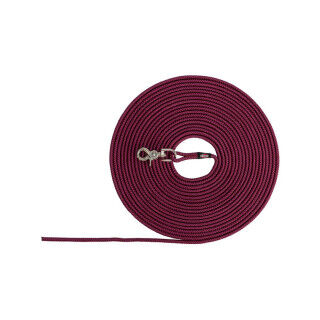 Tracking leash Trixie Red
