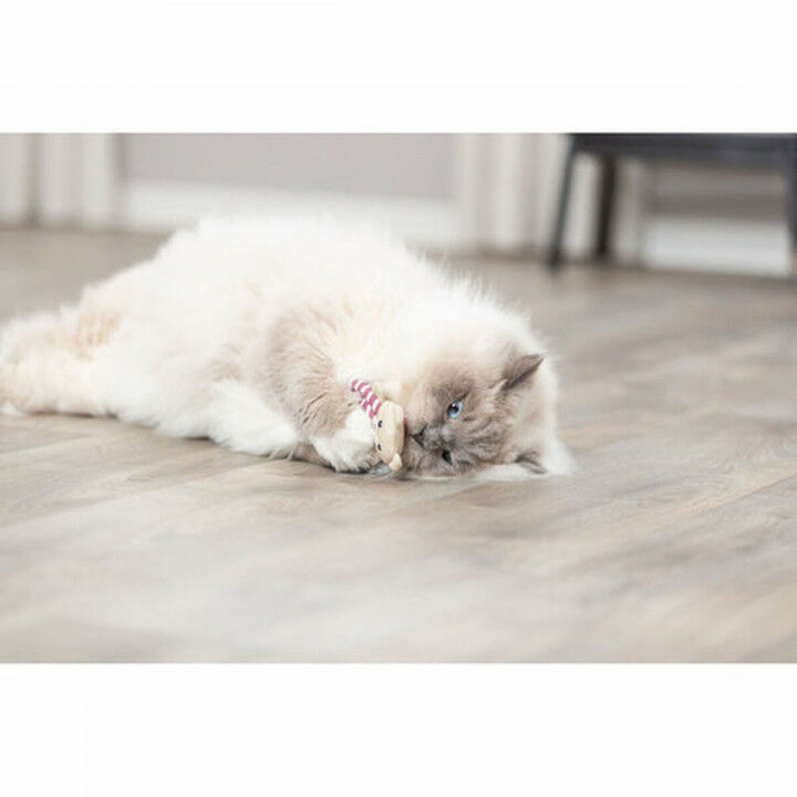 Kattenspeeltje Trixie