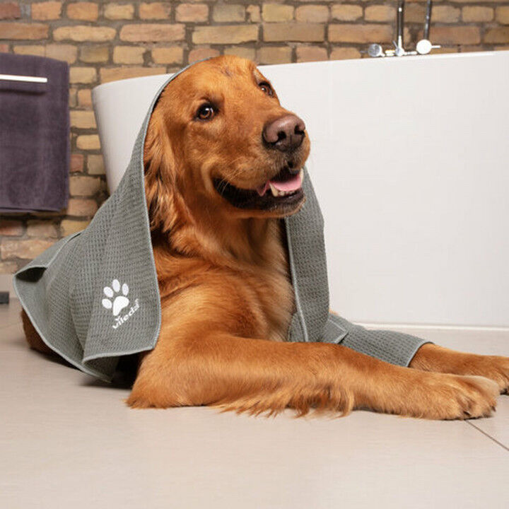 Microvezel Handdoek Vileda 172651 Grijs XL 65 x 100 cm