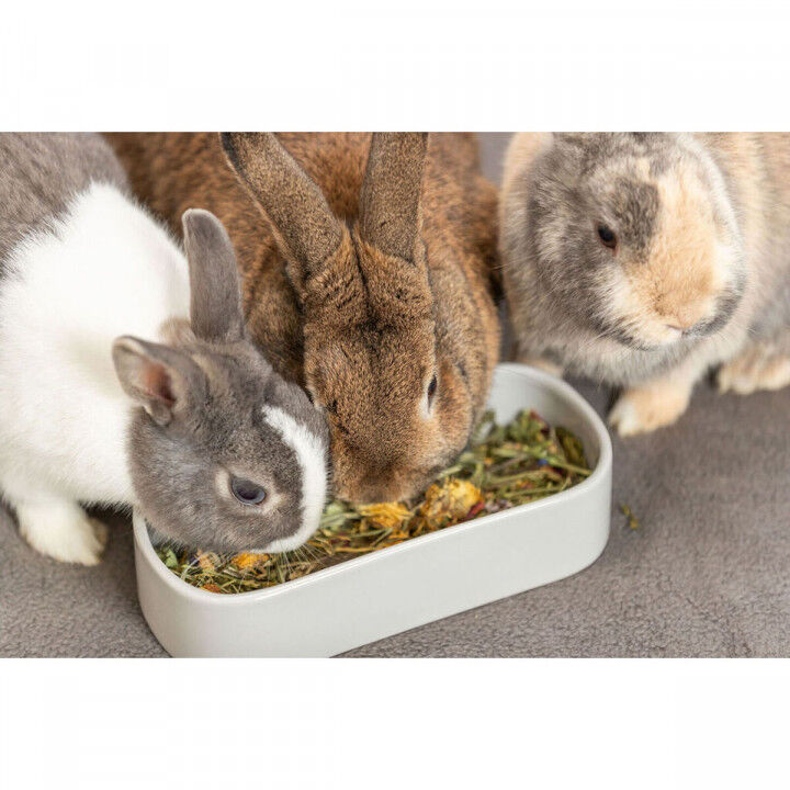 Pet feeding dish Trixie 600 ml