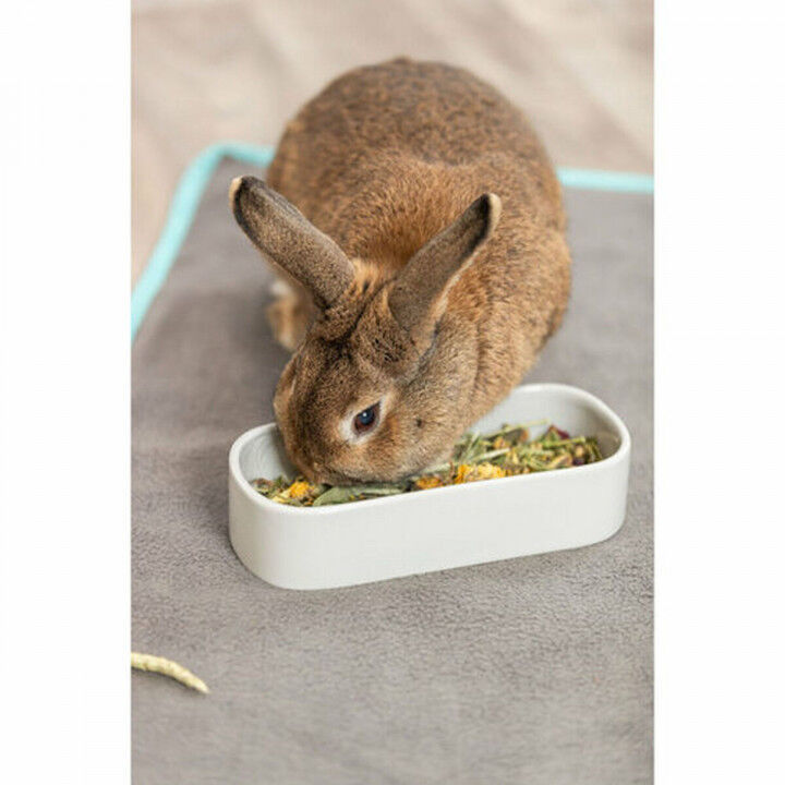 Mangeoir pour animaux Trixie 600 ml