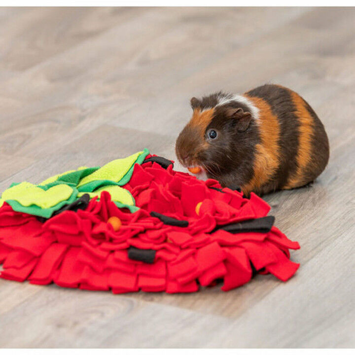 Tapis Olfactif pour Animaux de Compagnie Trixie