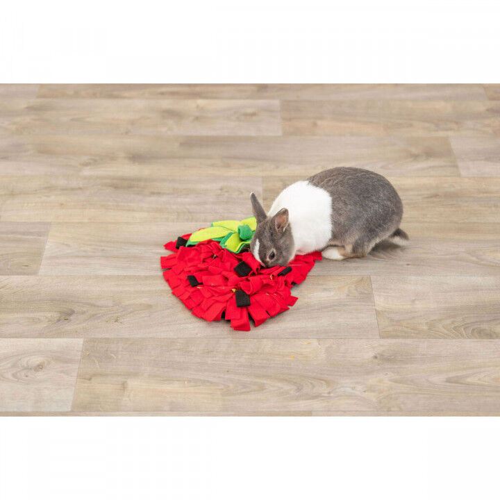 Tapis Olfactif pour Animaux de Compagnie Trixie