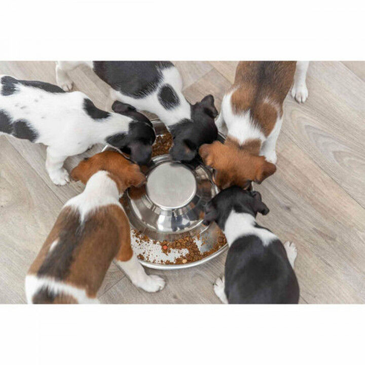 Pet feeding dish Trixie Stainless steel 1,4 L Silver