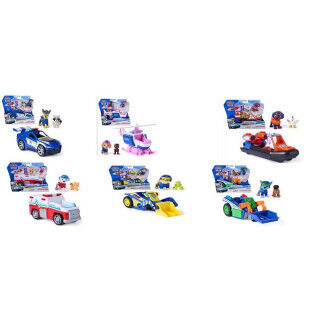 Car The Paw Patrol