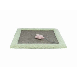 Grattoir pour Chats Trixie Junior Gris Menthe Polyester Sisal 47 x 47 cm