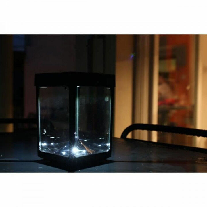 Torcia a LED Nero Cristallo ABS 12 x 12 x 18 cm