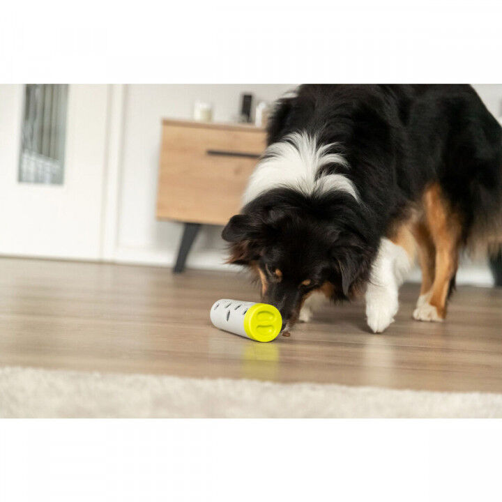 Trainingsspielzeug Trixie Snacks