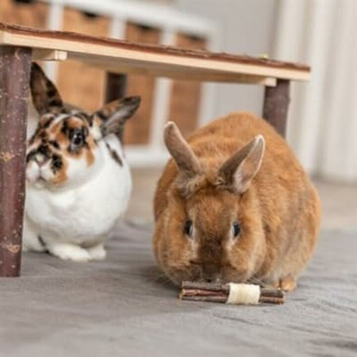 Jouet pour Rongeurs Trixie Bois Algues marines 10 × 3 CM (2 Unités)