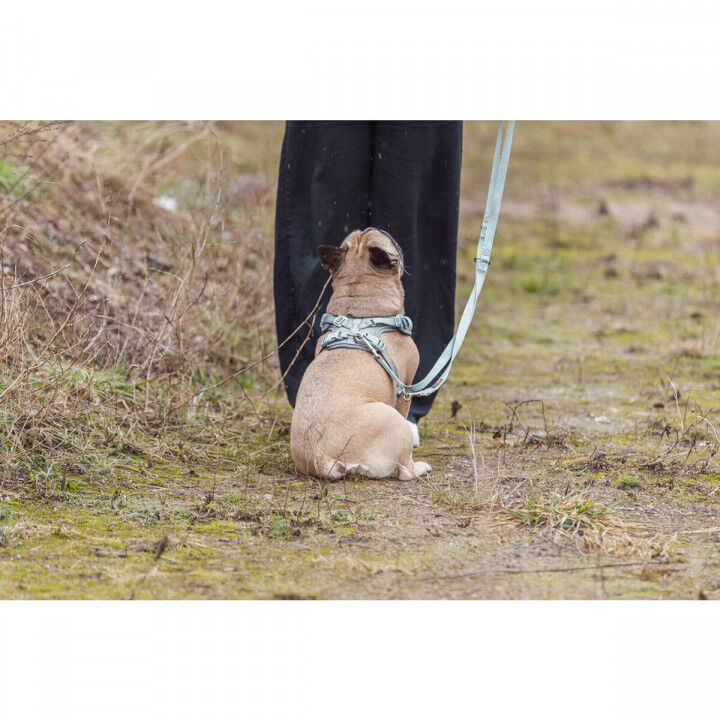 Hundegeschirr Trixie Premium FlexMesh L